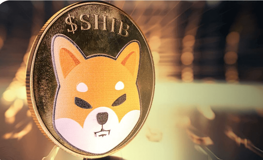 Major SHIB Giveaway Announced by Team, Here's Intriguing Part